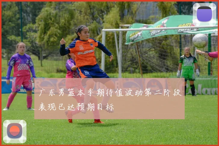 广东男篮本季期待值波动第二阶段表现已达预期目标